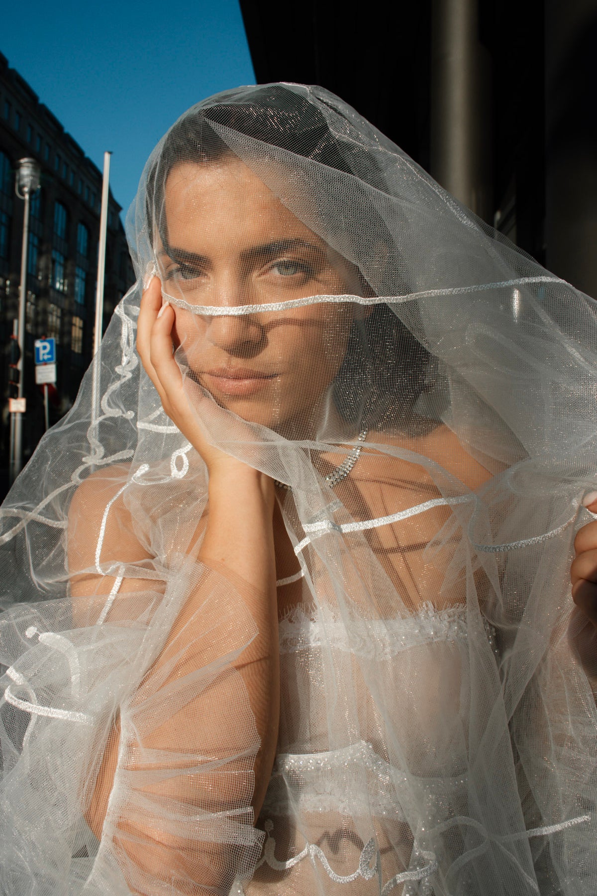 Embroidered wedding/bridal veil - LOVE POEM